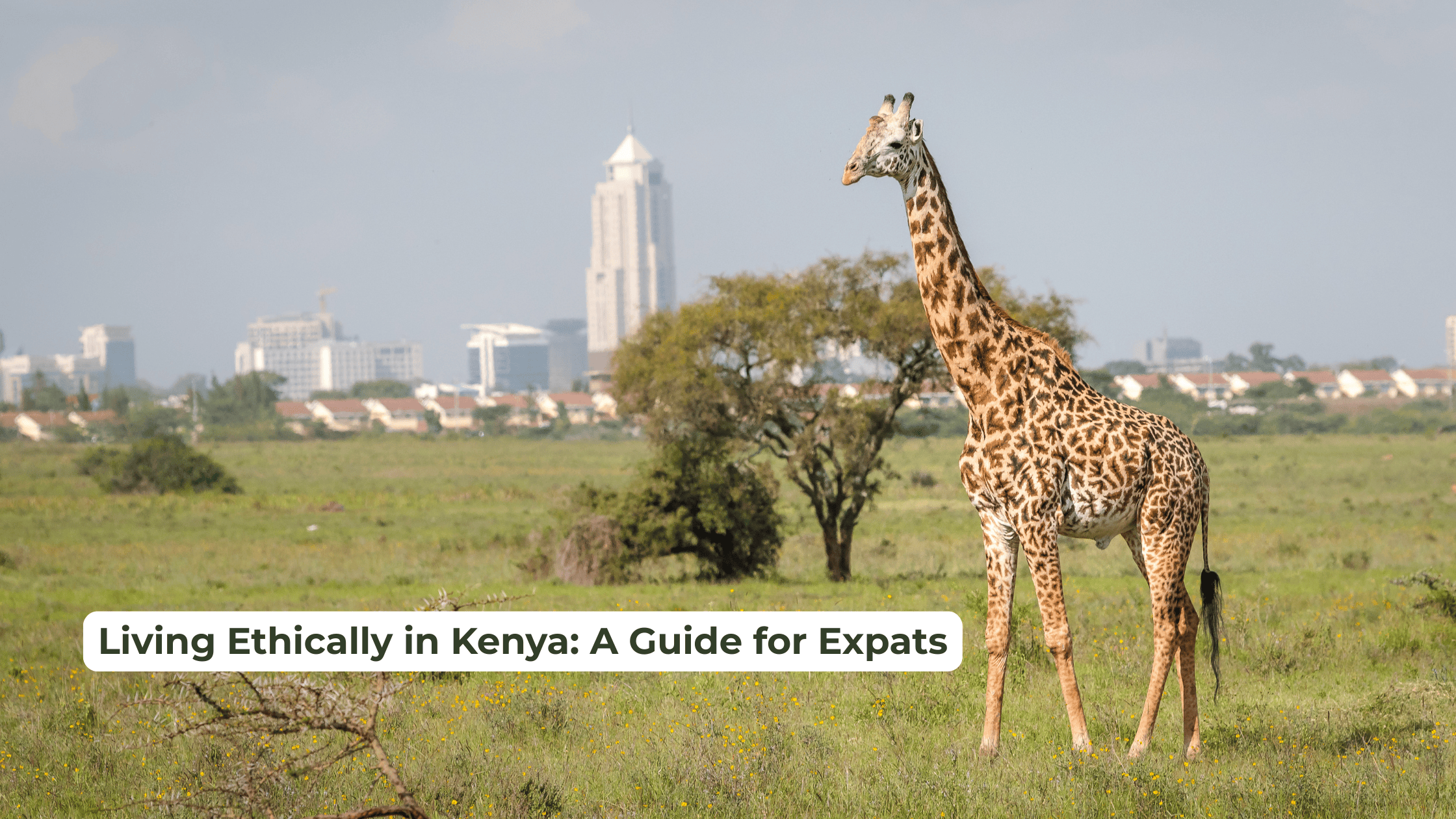 Living Ethically in Kenya: A Guide for Expats