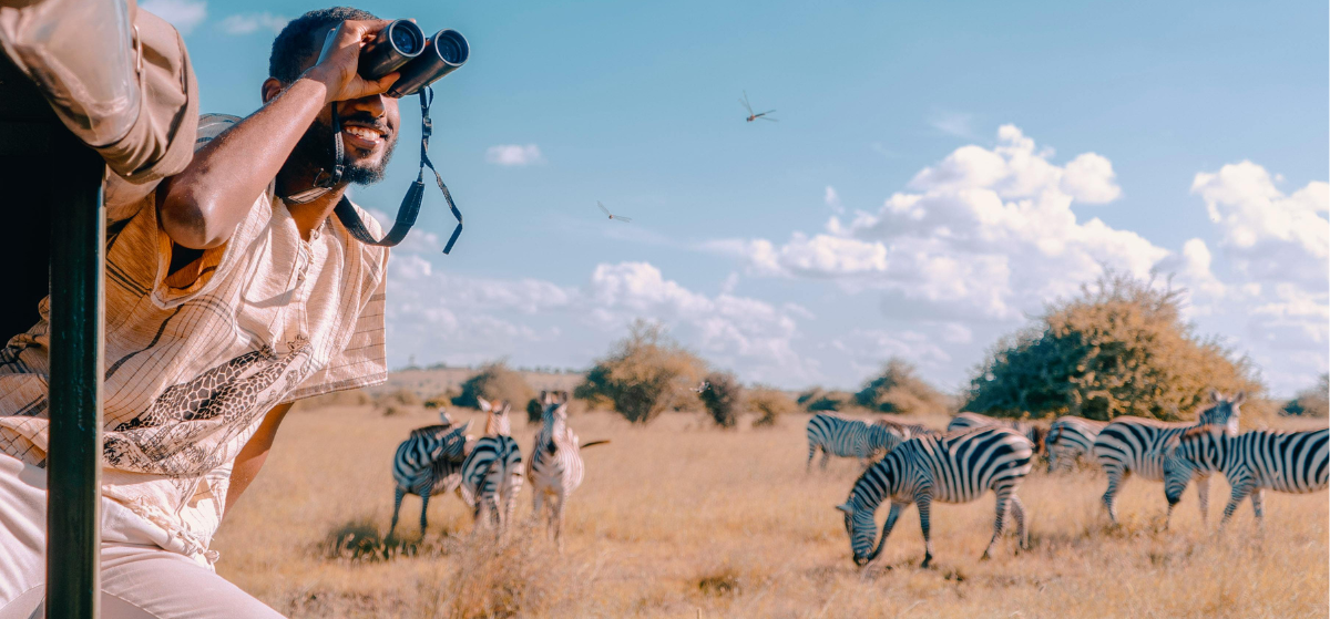 Person on a safari observing zebras in a grassy savanna with binoculars.