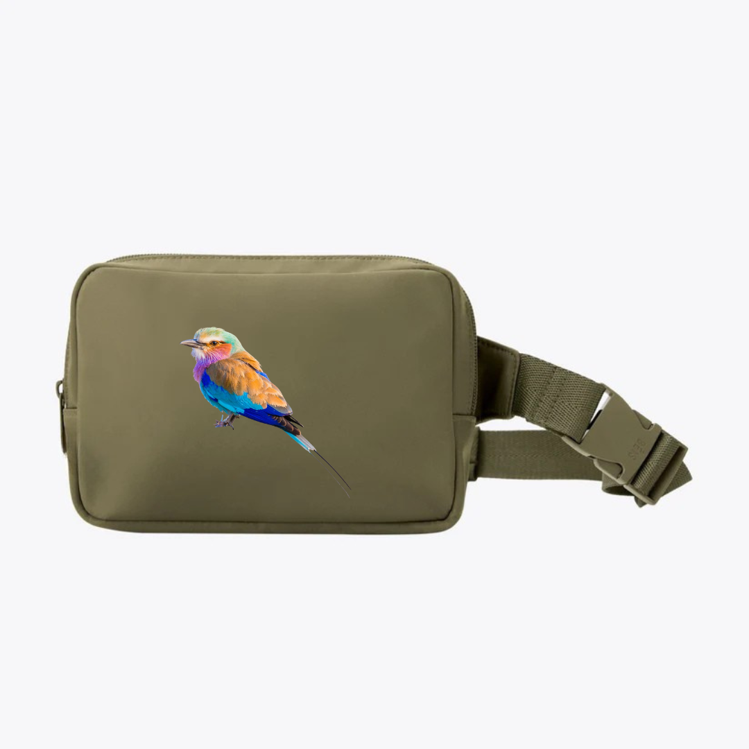 #color-green_lilac_breasted-roller